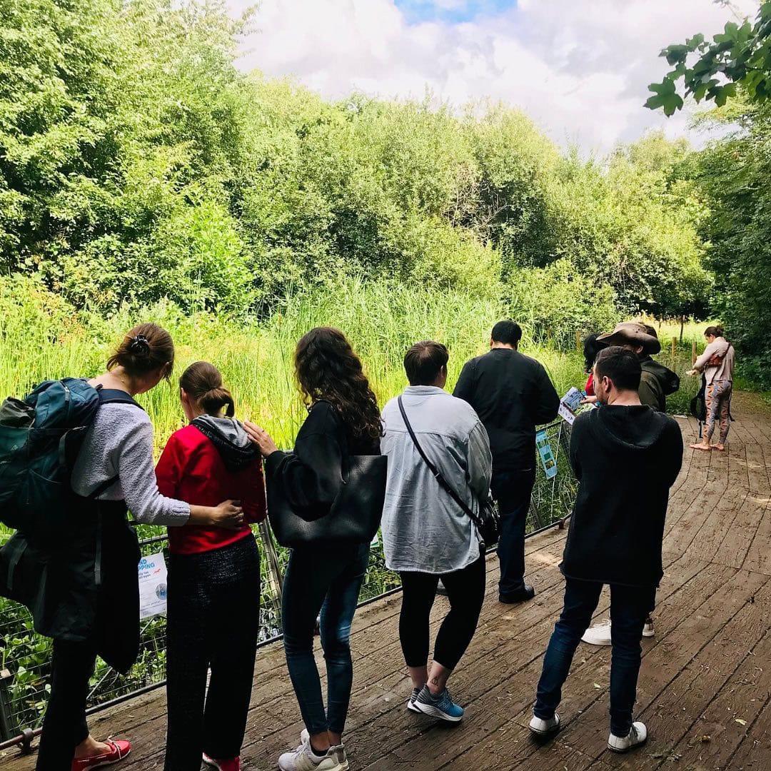 Wellbeing Walks